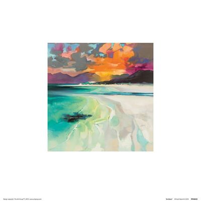 Scott Naismith (Seilebost) , 30 x 30cm , PPR48432