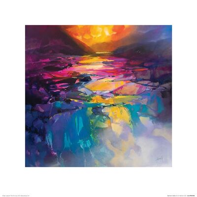 Scott Naismith (Spectrum Valley) , 40 x 40cm , PPR45988