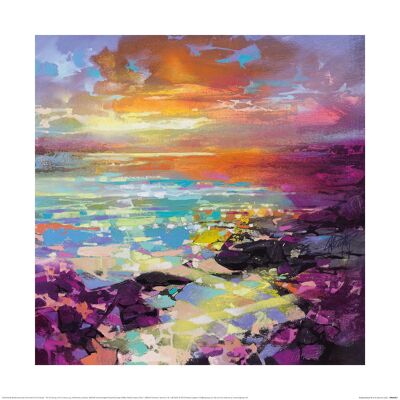 Scott Naismith (Fractal Coast) , 40 x 40cm , PPR45997