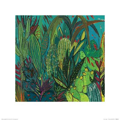 Shyama Ruffell (Cactus Jungle) , 40 x 40cm , PPR45568