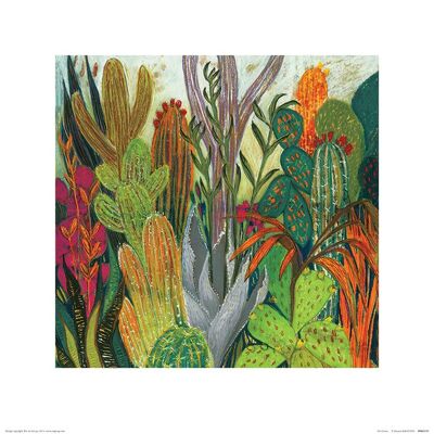 Shyama Ruffell (The Cactus) , 40 x 40cm , PPR45570
