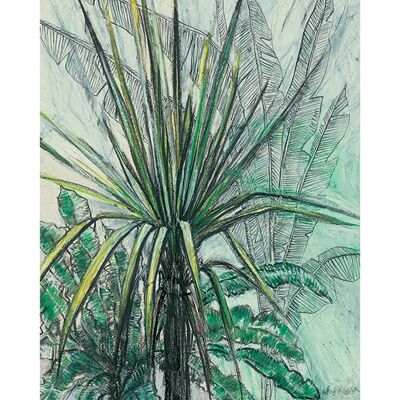 Shyama Ruffell (Yucca) , 40 x 50cm , PPR43532