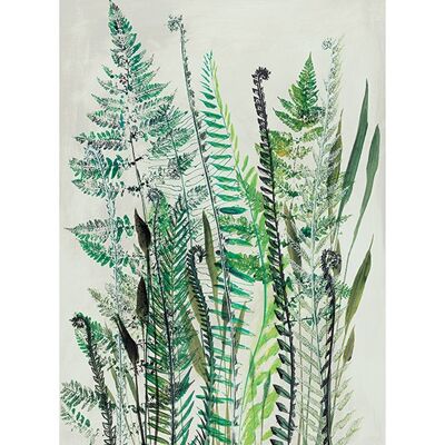 Shyama Ruffell (Ferns I) , 30 x 40cm , PPR44777