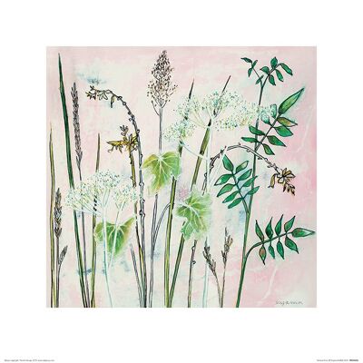 Shyama Ruffell (Natural Flora) , 40 x 40cm , PPR45930