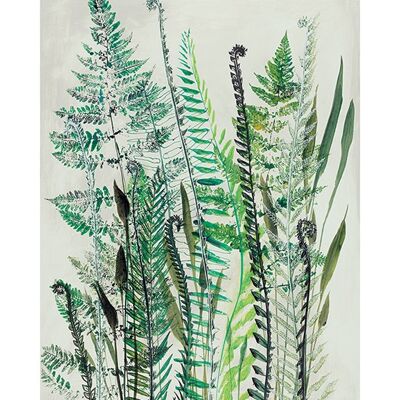 Shyama Ruffell (Ferns I) , 60 x 80cm , PPR51289