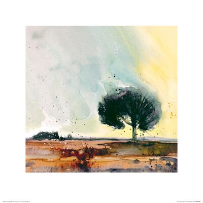 Simon Howden (New Forest Study) , 40 x 40cm , PPR45377