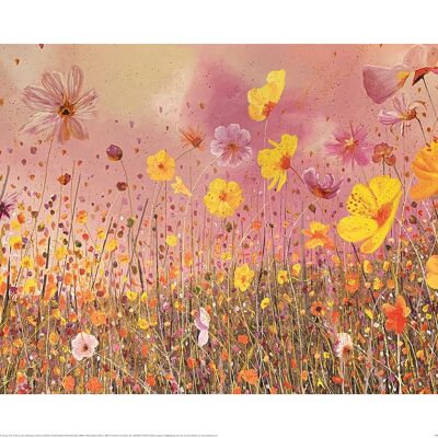 Siobhan McEvoy (Cosmos Flower Meadow) , 40 x 50cm , PPR43922