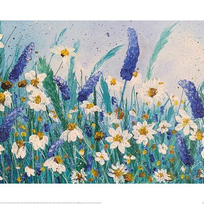 Siobhan McEvoy (Daisies and Wild Pea Flowers) , 40 x 50cm , PPR43923