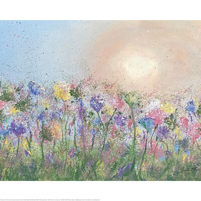 Siobhan McEvoy (Hazy Wildflowers) , 40 x 50cm , PPR43924