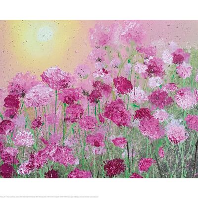 Siobhan McEvoy (Pink Carnations) , 40 x 50cm , PPR43926