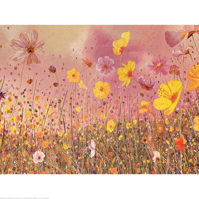Siobhan McEvoy (Cosmos Flower Meadow) , 60 x 80cm , PPR51412