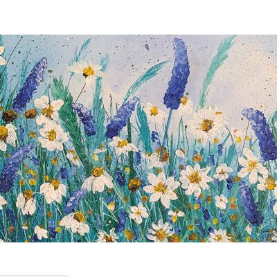 Siobhan McEvoy (Daisies and Wild Pea Flowers) , 60 x 80cm , PPR51413