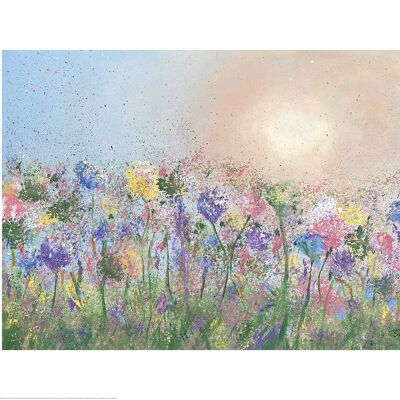 Siobhan McEvoy (Hazy Wildflowers) , 60 x 80cm , PPR51414