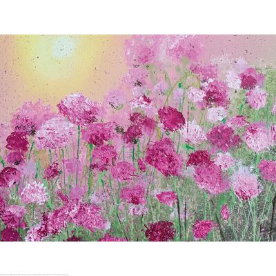 Siobhan McEvoy (Pink Carnations) , 60 x 80cm , PPR51416