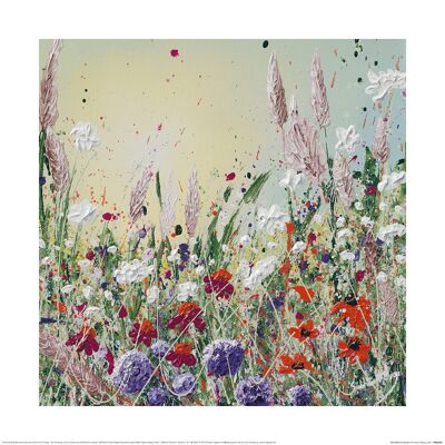 Siobhan McEvoy (Wildflower Garden) , 40 x 40cm , PPR55042