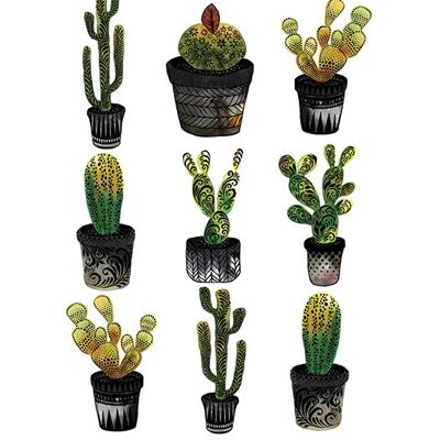 Sofie Rolfsdotter (Cacti) , 60 x 80cm , PPR40678