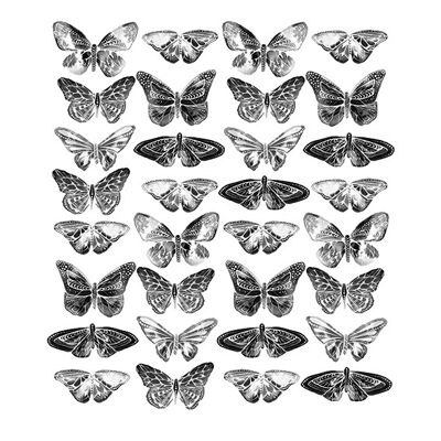 Sofie Rolfsdotter (Butterflies) , 40 x 50cm , PPR43367