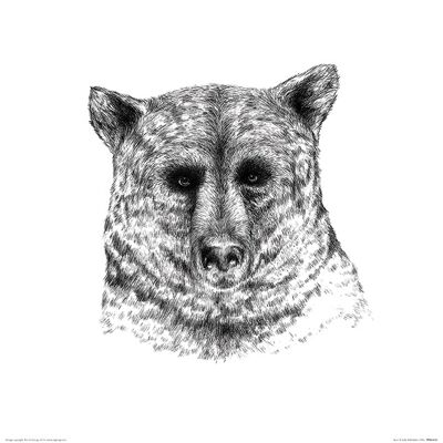 Sofie Rolfsdotter (Bear) , 40 x 40cm , PPR45654