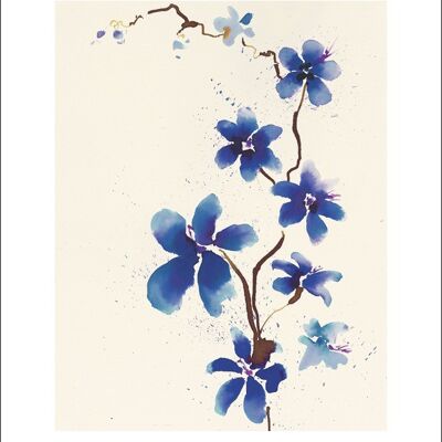 Summer Thornton (Oriental Blossom) , 40 x 50cm , 21231