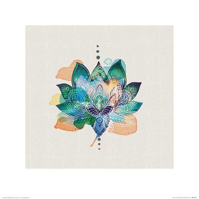 Summer Thornton (Lotus Flower) , 40 x 40cm , PPR45539