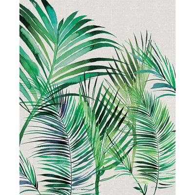 Summer Thornton (Palm Leaves) , 40 x 50cm , PPR43439