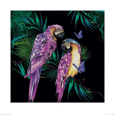 Summer Thornton (Parrots) , 60 x 60cm , PPR46151