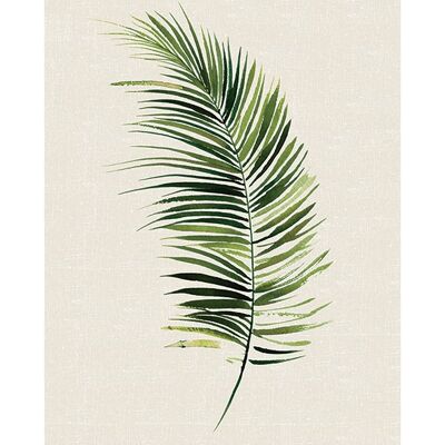 Summer Thornton (Tropical Leaf II) , 40 x 50cm , PPR43519