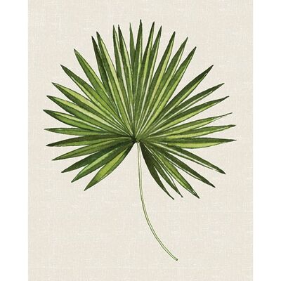 Summer Thornton (Tropical Leaf III) , 40 x 50cm , PPR43520