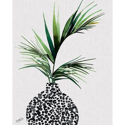 Summer Thornton (Areca Palm Plant) , 40 x 50cm , PPR43683