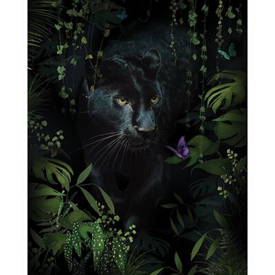 Summer Thornton (Panther) , 60 x 80cm , PPR51317