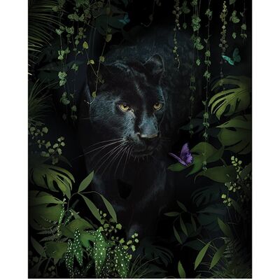 Summer Thornton (Panther) , 40 x 50cm , PPR43724