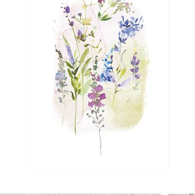 Summer Thornton (Tiny Floral) , 30 x 40cm , PPR54140
