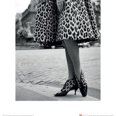 Time Life (Dior Leopard Print) , 30 x 40cm , PPR44240