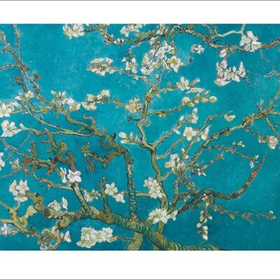 Van Gogh (Almond Blossom San Ramy 1890) , 50 x 70cm , PPR47011