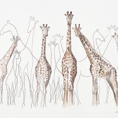 Aimee Del Valle (Toutes les Girafes) , 60 x 80cm , WDC100558