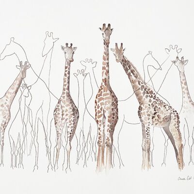 Aimee Del Valle (Toutes les Girafes) , 40 x 50cm , WDC94893