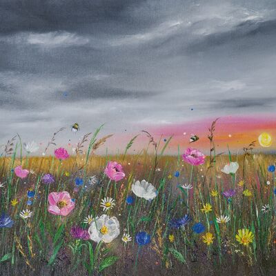 Alison McIlkenny (Sunset over Wildflowers) , 40 x 50cm , WDC13168