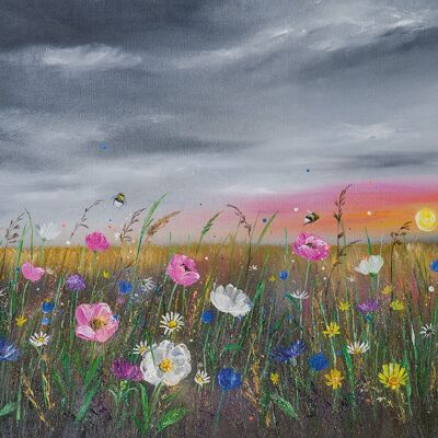 Alison McIlkenny (Sunset over Wildflowers) , 30 x 40cm , WDC12379