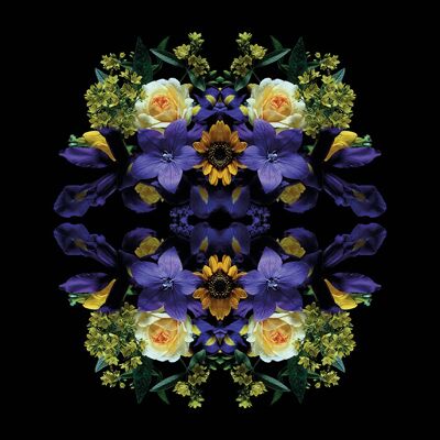 Alyson Fennell (Flowers of Eden) , 40 x 40cm , WDC95574