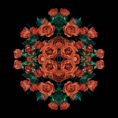Alyson Fennell (Explosion of Orange Roses) , 85 x 85cm , WDC98177