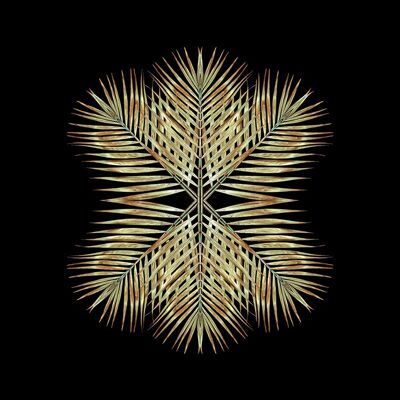 Alyson Fennell (Gold Deco Palm Star) , 60 x 60cm , WDC97114