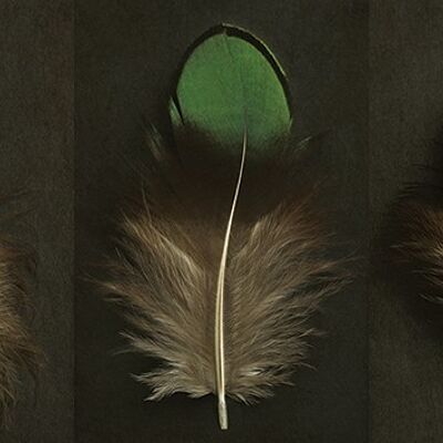 Alyson Fennell (Green Peacock Feather Triptych) , 50 x 100cm , WDC93244