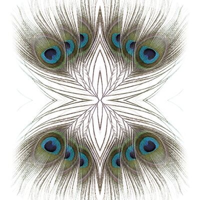 Alyson Fennell (Peacock Feathers Kaleidoscope) , 60 x 80cm , WDC99887