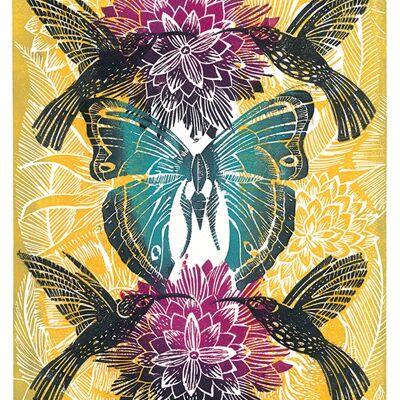 Amanda Colville (Hummingbirds) , 60 x 80cm , WDC99265