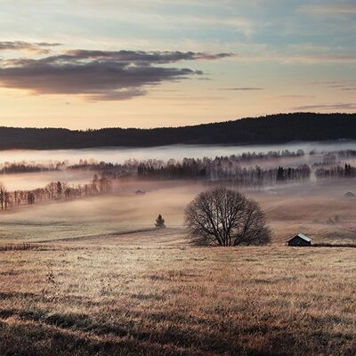 Andreas Stridsberg (Misty Morning) , 60 x 80cm , WDC99513