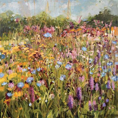 Anne-Marie Butlin (Summer Field with Scabious) , 60 x 60cm , WDC97289