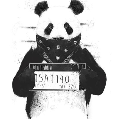 Balazs Solti (Bad Panda) , 40 x 50cm , WDC94689