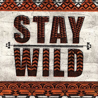 Barry Goodman (Stay Wild) , 40 x 50cm , WDC94866