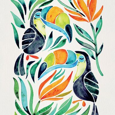 Cat Coquillette (Tropical Toucans) , 30 x 40cm , WDC92755