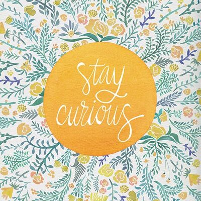 Cat Coquillette (Stay Curious) , 60 x 80cm , WDC99818